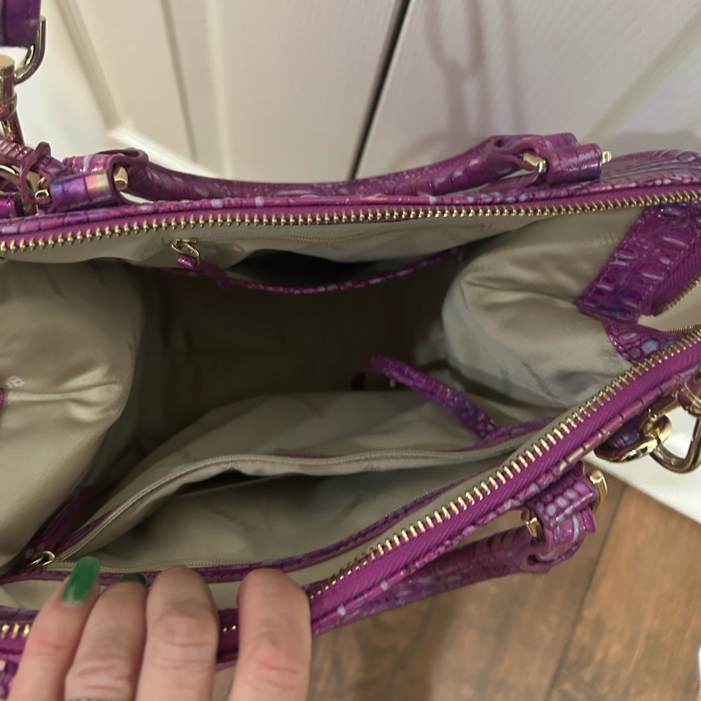 Azalea Caroline Brahmin - Picture 3 of 3